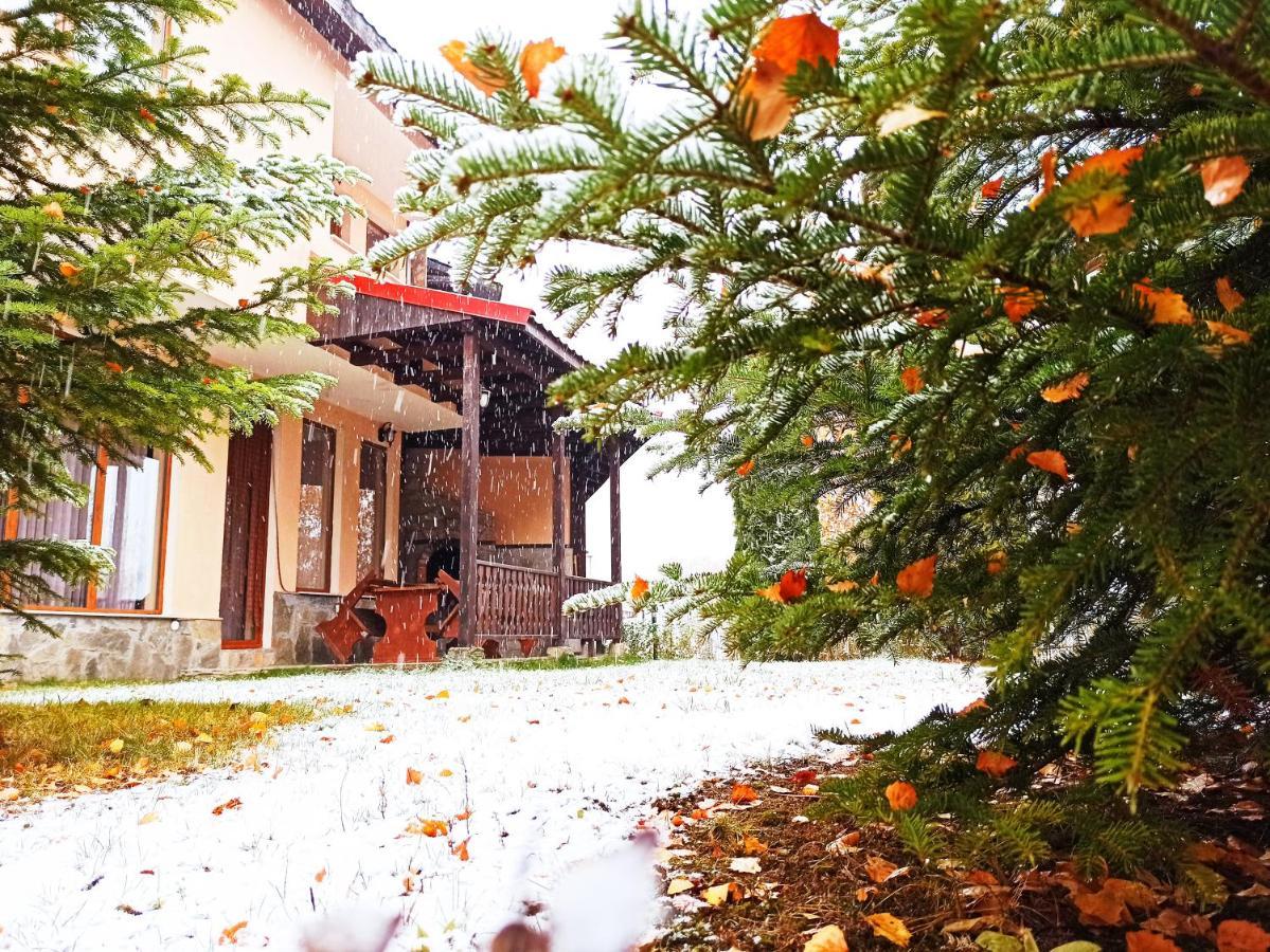 Rodopi Houses Cepelare Exterior foto