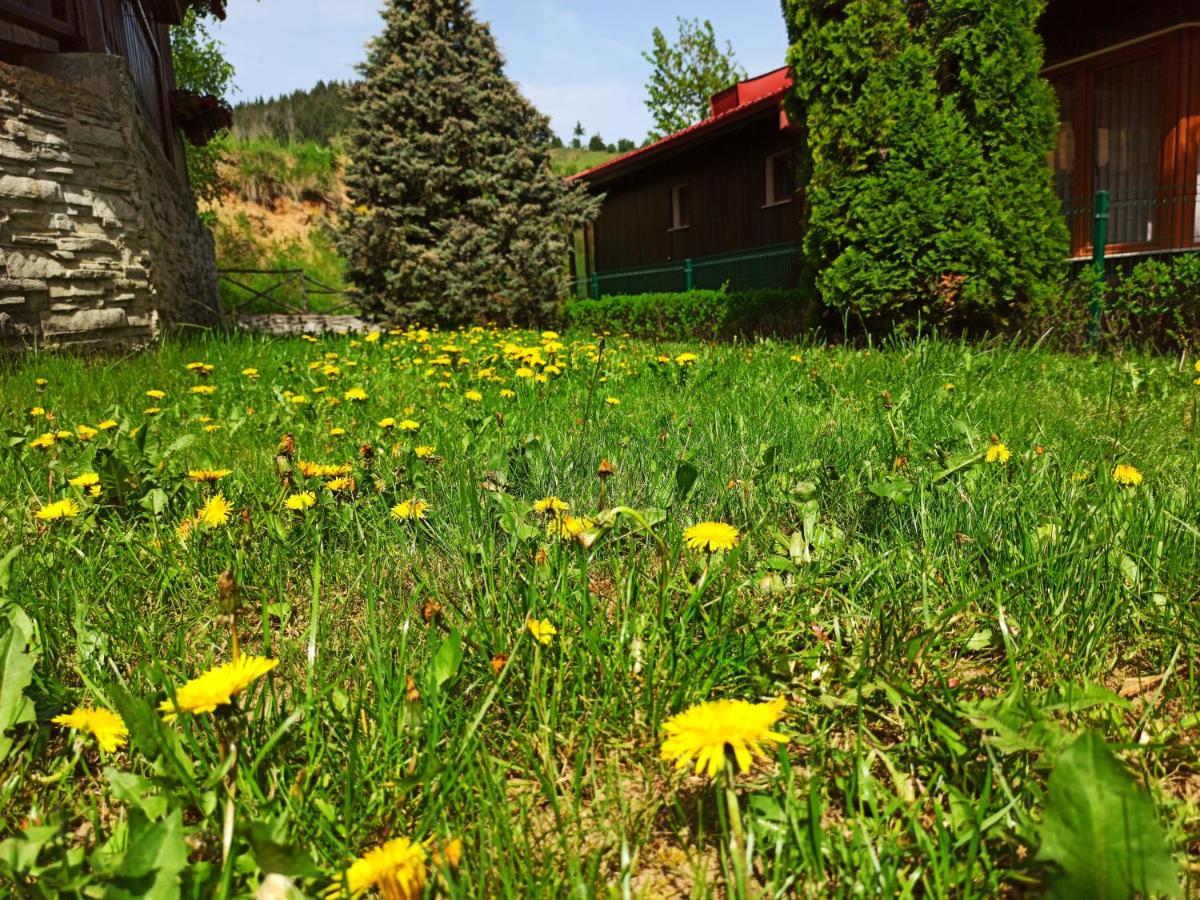 Rodopi Houses Cepelare Exterior foto
