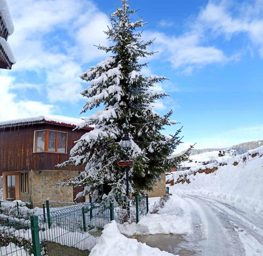 Rodopi Houses Cepelare Exterior foto