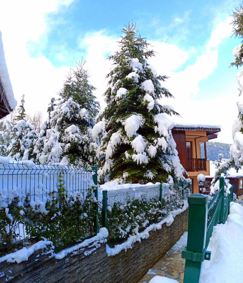 Rodopi Houses Cepelare Exterior foto